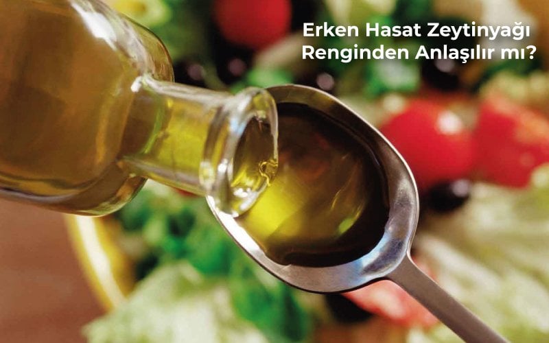 Erken Hasat Zeytinyağı Renginden Anlaşılır Mı